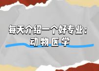 每天介绍一个好专业——动物医学